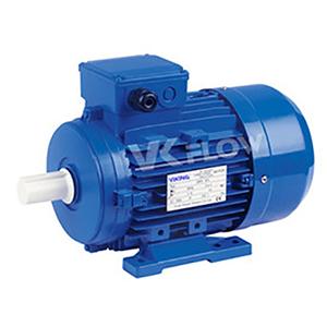 MS Electric Motor