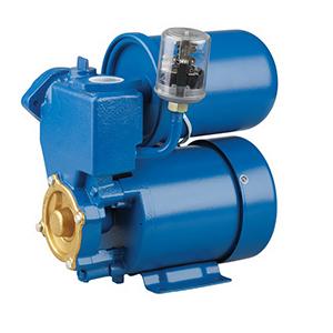PS Series Viking Factory Made Italian Quality Self-priming Pumps