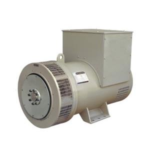 TWG Stanford Type Altnerator