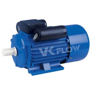 YCL Motor