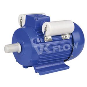 YL Motor
